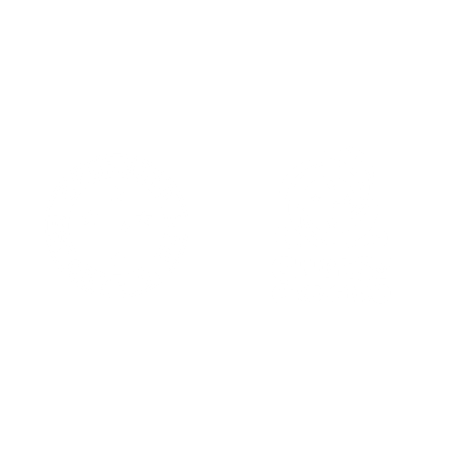 Cruzeiro Esporte Clube